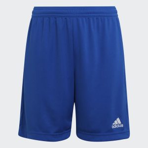 Adidas ENT22 SHO Y ROYBLU